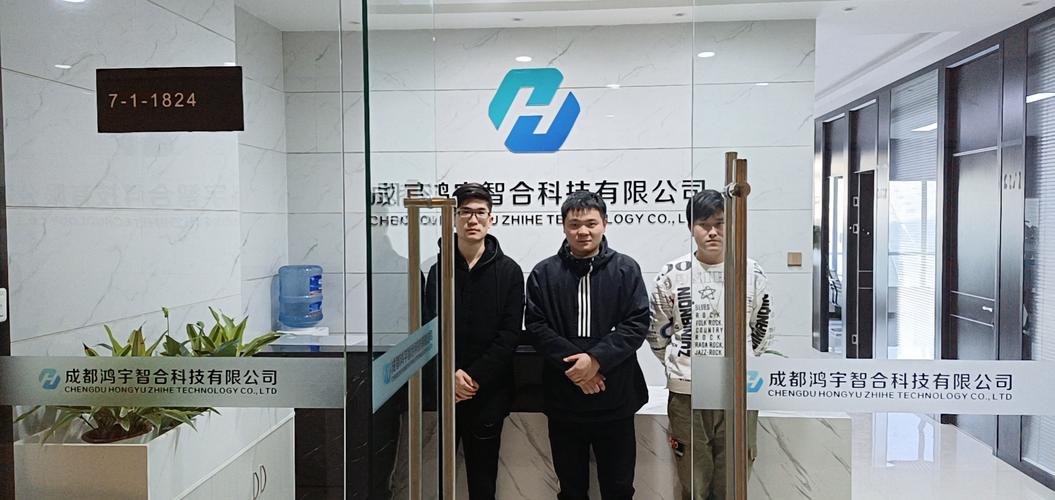 信息系统集成服务的多维价值与未来发展
