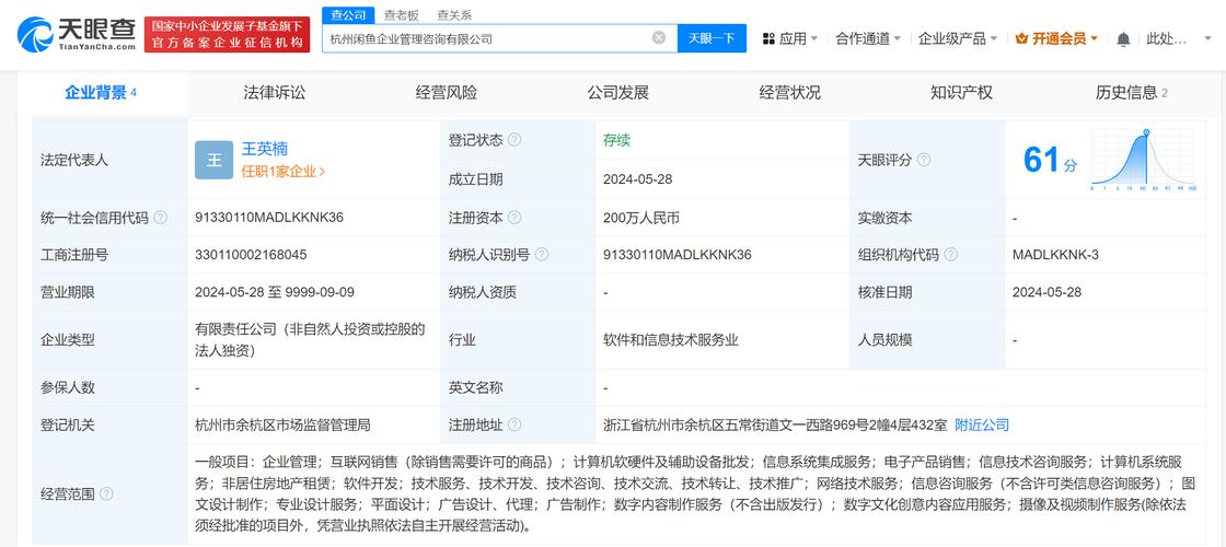 系统集成的商业价值 从技术创新到企业核心竞争力的构建
